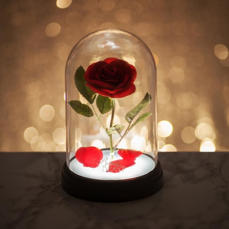 Beauty & the beast rose on sale