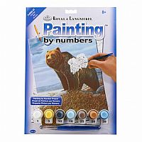 Paint by Number Grizzly Bear