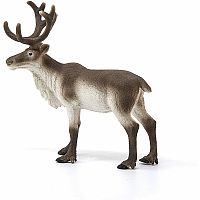 Reindeer 