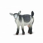 Pygmy Nanny Goat