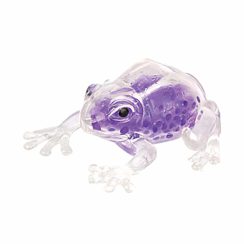 Squish The Frog - Toy Sense