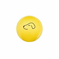 Waboba Fetch Dog Ball