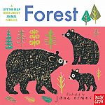 Forest: A Lift-the-Flap Book About Animal Families  