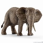 African elephant Female