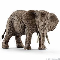 African elephant Female