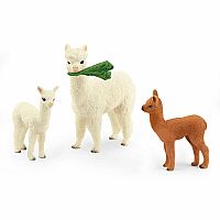 Alpaca Set .  