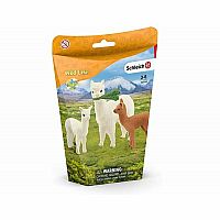 Alpaca Set .  