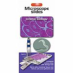 Microscope Slides - Animal Biology