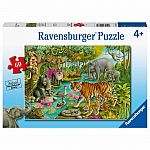 Animals of India - Ravensburger.