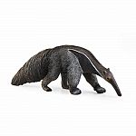 Anteater  