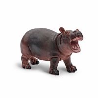 Hippopotamus Baby 