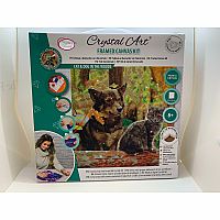 Crystal Art - Cat & Dog In the Woods