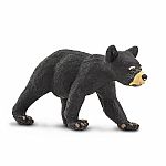Black Bear Cub. 