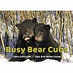 Busy Bear Cubs  