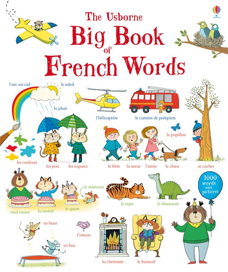 Big Book of French Words - Toy Sense