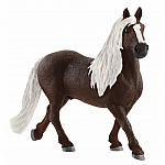 Black Forest Stallion.