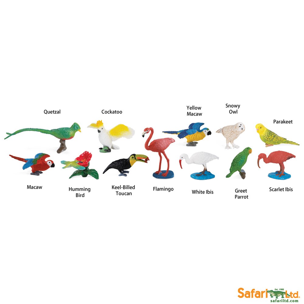 Exotic Birds Toob Toy Sense