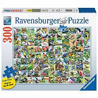 99 Delightful Birds - Ravensburger.