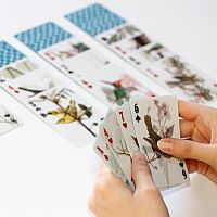 3D Playing Cards - Birds 