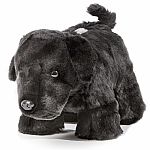 Black Lab Coin Bank