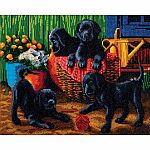 Crystal Art Large Framed Kit - Black Labrador Pups