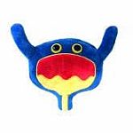 Giant Microbes - Bladder