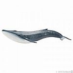 Blue Whale