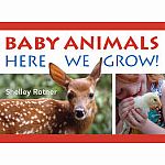 Baby Animals Here We Grow