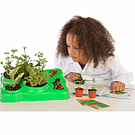 Botany Experimental Greenhouse Science Kit 