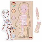 Human Body Puzzle - Boy 