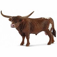 Texas Longhorn Bull.