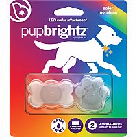 Pupbrightz Colour Morphing Collar