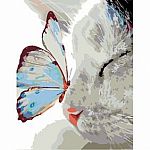 Cat and Butterfly - Paint by Number 