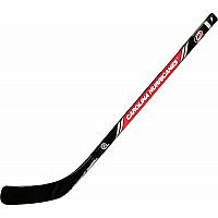 Carolina Hurricanes Right Handed Mini Stick