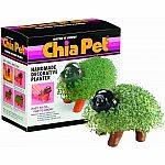 Puppy Chia Pet