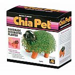 Puppy Chia Pet