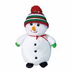 Chilly Snowman with Hat