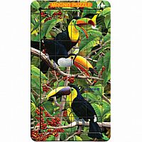 Toucans: Lenticular