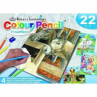 Colour Pencil Set - Horse