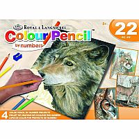 Colour Pencil Set - American Animals