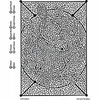 Color Counts: Sun Catchers