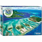 Coral Reef - Eurographics