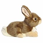 Miyoni Eastern Cottontail Rabbit