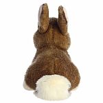 Miyoni Eastern Cottontail Rabbit