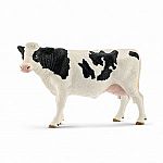 Holstein Cow.
