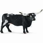 Texas Longhorn Cow 