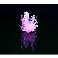 MiniLab - Growing Crystals 