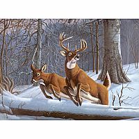Adult Paint by Number - White Tails