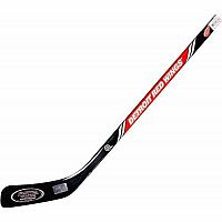Detroit Red Wings Right Handed Mini Stick
