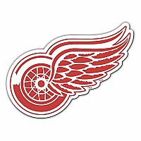 Detroit Red Wings Magnet - 12 inch.